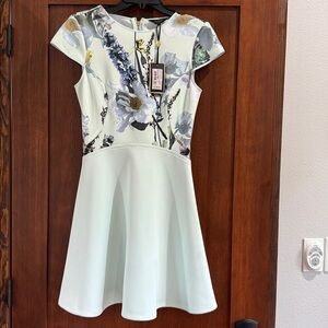 Ted Baker London Skater Dress